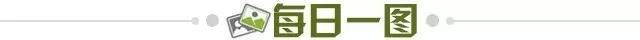 kaiyun 官网-【早报】国乒17年后再丢金!中国奥运军团今日反弹?